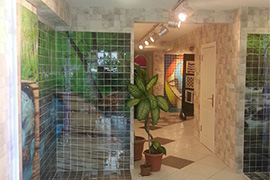 Orient Mosaic Showroom 6